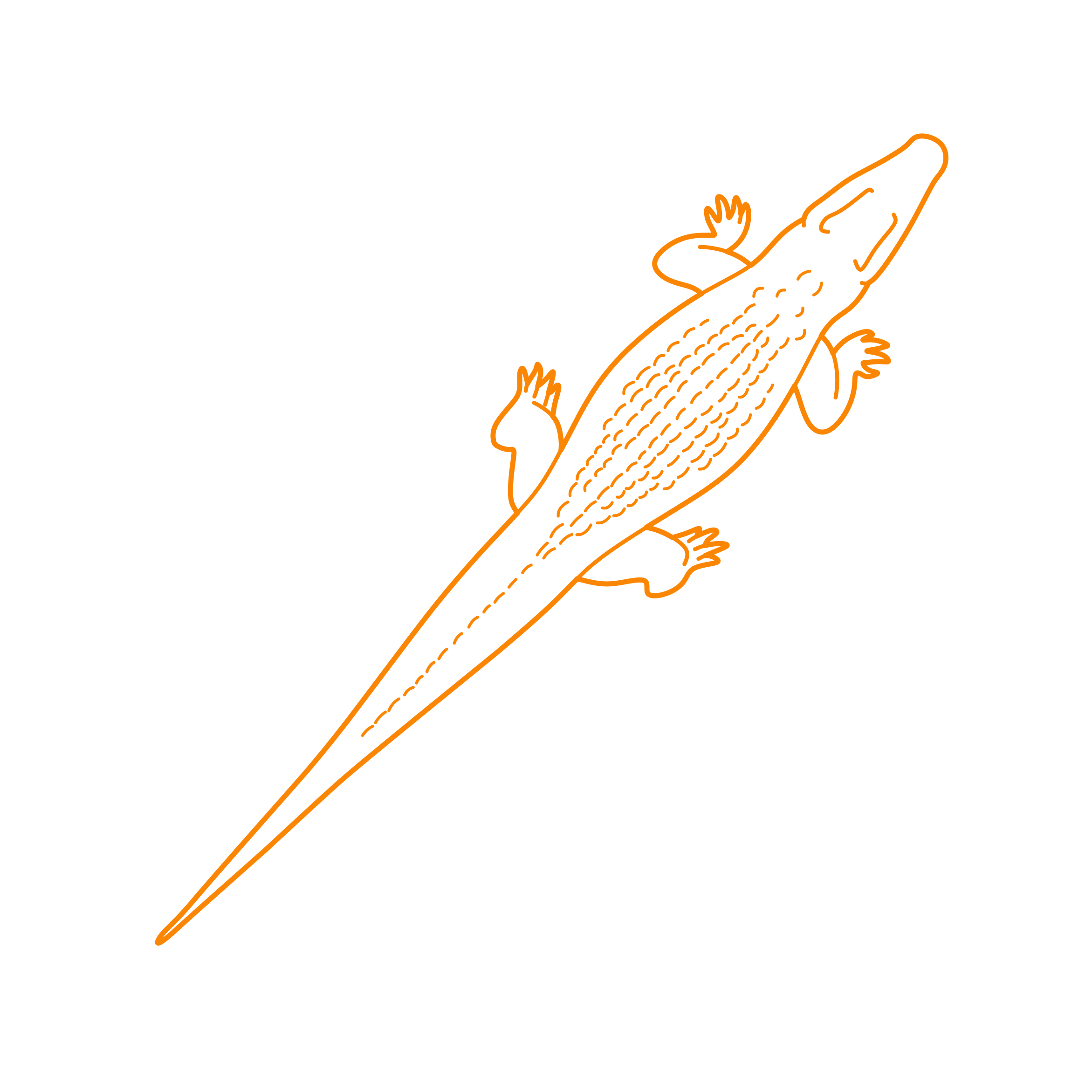 Animals Crocodilians Black Caiman Outline Drawing Svg Vector Free Vectors